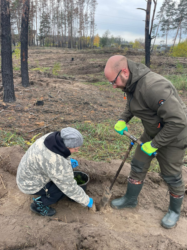 Директор Райлісу